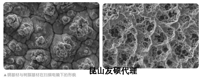 福州蔡司福州扫描电镜